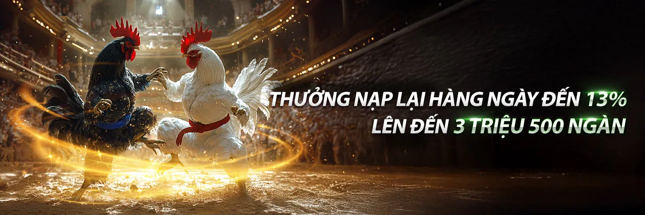 Gà Hiển LX Đá Thomo – Trận đấu đỉnh cao tại 39 Bet
